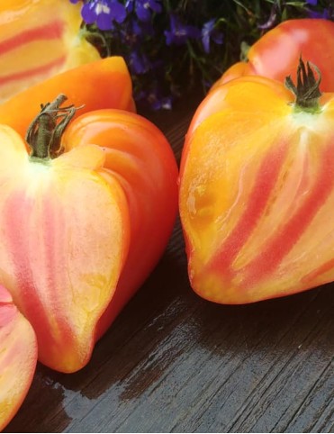 Coeur De Boeuf Bicolore