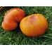 Manhattan Bicolor