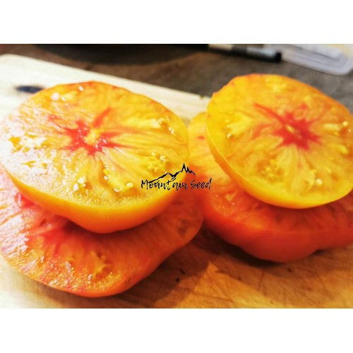Manhattan Bicolor