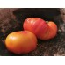 Manhattan Bicolor