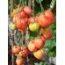 1884 Strawberry Wedge
