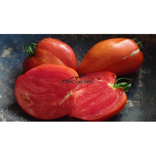Heart Veneto
