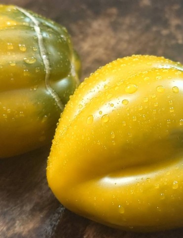 Cresta Di Fuoco Ochre