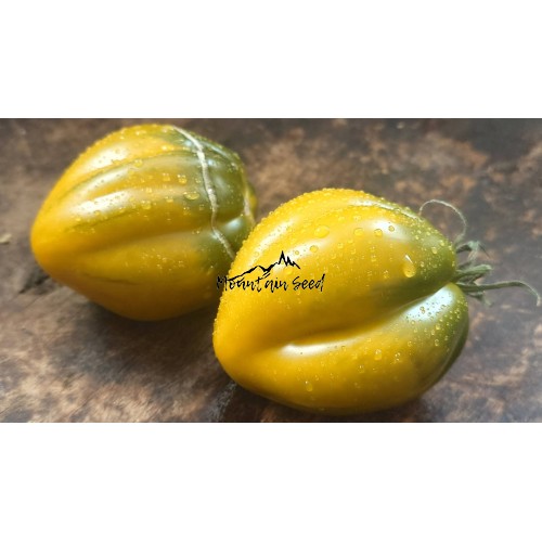 Cresta Di Fuoco Ochre