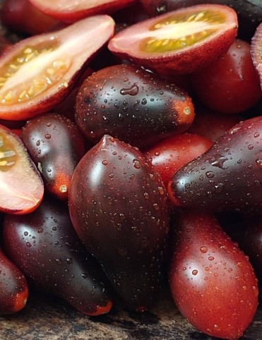 Indigo Kumquat pear