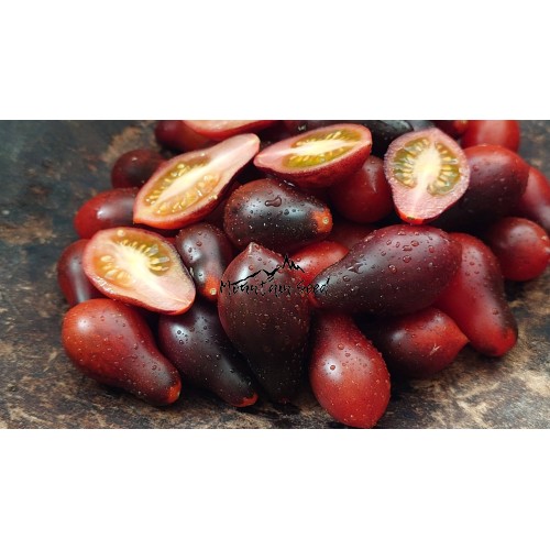 Indigo Kumquat pear