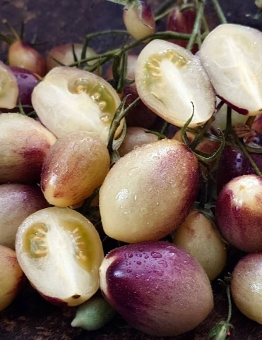 Marchenengel