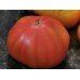 Candy Stripe bicolor